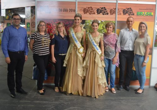 Comissão visita a Festa da Uva em Caxias do Sul (Foto: Priscila Rodrigues)