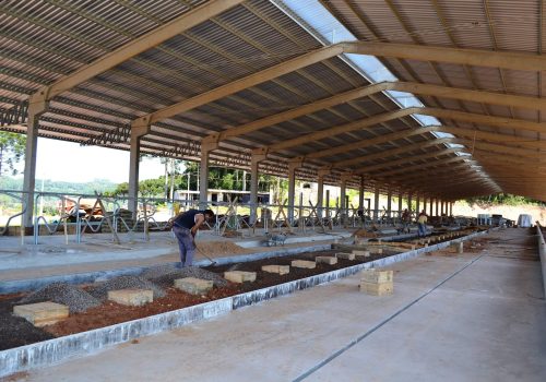 Conjunto de três robôs será instalado nas próximas semanas. Previsão de alojar animais é para agosto (Foto: Carina Marques)