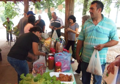 Feira vem sendo realizada desde o início do mês de dezembro, no Parque 13 de Abril (Foto: Divulgação)