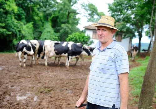 Para driblar o alto custo, Günter faz "dieta" com seu rebanho. Perde na quantidade, mas ganha no processo (Foto: Lidiane Mallmann)