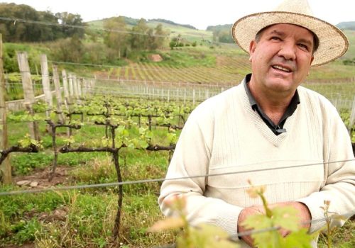 Sócio proprietário e presidente da vinícola, Juarez Valduga (Foto: Bruno Alencastro)