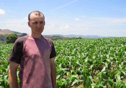 Viabilidade: O produtor Edemilson Bonometti, de Anta Gorda, utiliza os recursos do Custeio para viabilizar o plantio de milho em sua propriedade (Foto: Divulgação)