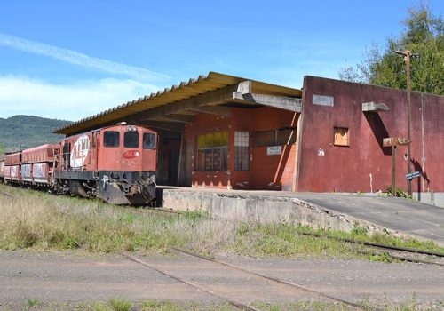 Trem turístico exigirá investimentos nos terminais dos municípios (Foto: Anderson Lopes)