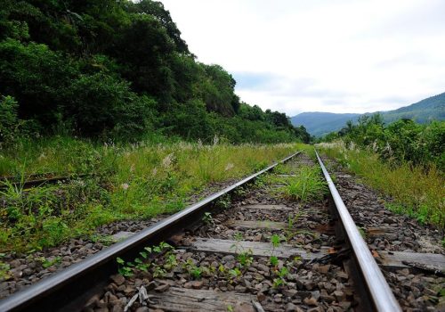 Nova administradora da ferrovia deve responder até o fim do mês se libera trilhos para fins turísticos (Foto: Lidiane Mallmann)
