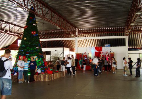 Turistas de Porto Alegre elogiaram a decoração natalina e a estrutura de Teutônia (Foto: Alana V. Gausmann)