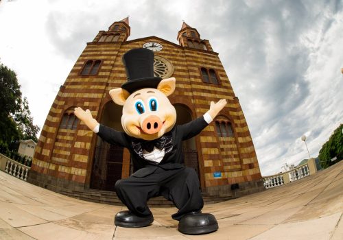 Mascote Buti está à espera dos visitantes da Suinofest 2014 (Foto: Divulgação)