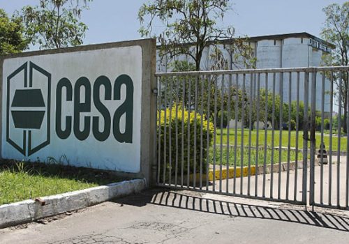 Silos da Cesa, em Estrela, estão subaproveitados há anos. Dívidas e problemas administrativos são entraves (Foto: Filipe Faleiro)