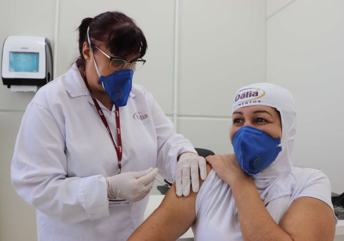 dalia_vacinação_arroio_04 (1)