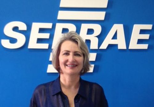 Segundo a gerente regional do Sebrae, Liane Klein, as tratativas se darão no formato de empresas âncoras (Foto: Divulgação)