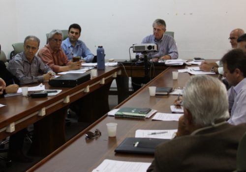 A reunião contou com a presença de 11 das 13 entidades que integram a câmara técnica do IGL (Foto: Nandressa Tomazetti Cattani/Seapa)
