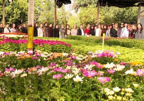 O município vai ficando, a cada ano que passa, mais conhecido pela produção de flores (Foto: Estúdio Objetivo)
